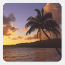 Search for made in hawaii stickers Sunrise