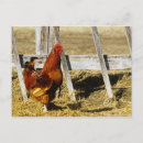 Recherche de rhode cartes postales Nature