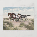 Recherche de galoper cartes postales Chevaux