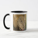 Search for african wildlife mugs South africa