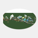 Search for cockatiels stickers Parakeet