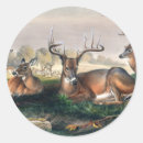 Search for vintage virginia stickers Nature