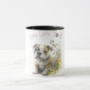 Recherche de bulldogge tasses Race de chien
