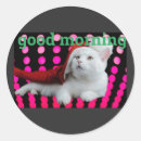 Search for poster stickers Cat