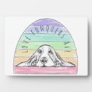 Recherche de basset plaques Chien