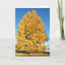 Search for christian autumn cards Religion
