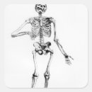 Search for human bone stickers Anatomy