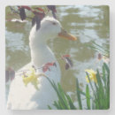 Recherche de canard mignon dessous de verres Lac
