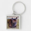 Search for alpaca keychains Animal