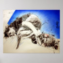 Recherche de culture urbaine posters Patinage