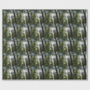 Search for sunlight wrapping paper Forest