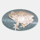 Recherche de froggy autocollants Frogance