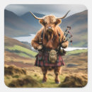 Search for scottish highlands stickers Highland cow