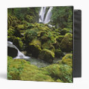 Search for rain forest office supplies Green