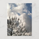 Recherche de nuage cartes postales Arbre