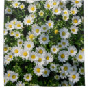 Search for daisy bathroom accessories Flower