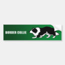 Search for colli bumper stickers Dog