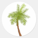 Search for coconut tree stickers Sun