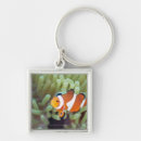 Search for selected keychains Animals