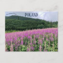 Recherche de pologne cartes postales Paysage