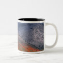Search for gloomy mugs Autumn
