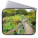 Search for boardwalk electronics Nature