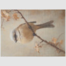 Search for bird tissue paper Decoupage