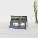 Search for wild bird cards Exotic