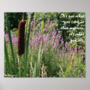 Search for cattail art Wildflowers