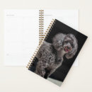 Search for smile planners Pet