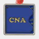 Search for cna ornaments Lpn