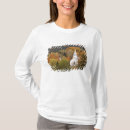 Recherche de yankee tshirts Nouvelle angleterre