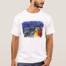 Search for ladybird tshirts Blue