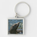 Search for sea lion keychains Ocean