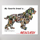 Recherche de animaux secourus posters Animal