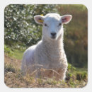 Search for easter lamb stickers Animal