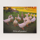 Recherche de canard puzzles Photographie de la nature