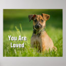 Recherche de cric art Chien