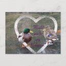 Search for courtship cards invites Romance