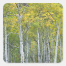 Search for aspen grove stickers Colourful