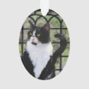Search for tuxedo cat ornaments Cute