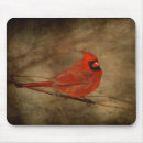 Search for cardinal mousepads Winter