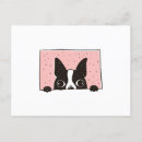 Search for bostons postcards Pets