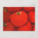 Recherche de fruit juteux cartes postales Bio