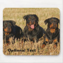 Recherche de rottweiler tapis souris Animal