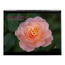 Search for pink calendars Colour