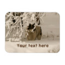 Search for dog magnets White