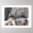 Search for inca art Nature