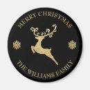 Search for glitter magnets Merry christmas