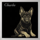 Search for white german shepherd art Puppy